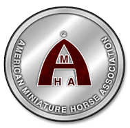 American Miniature Horse Association