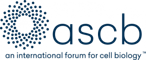 American Society for Cell Biology