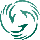 American Society for Surgery of the Hand