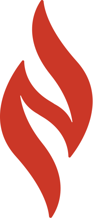 Virginia Nurses Association